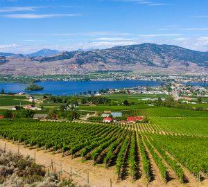 Osoyoos Okanagan Valley British Columbia Canada Landscape