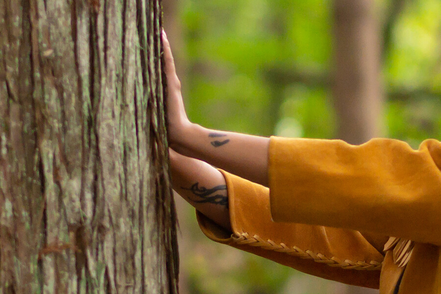 Pair of hands pressed against a tree trunk