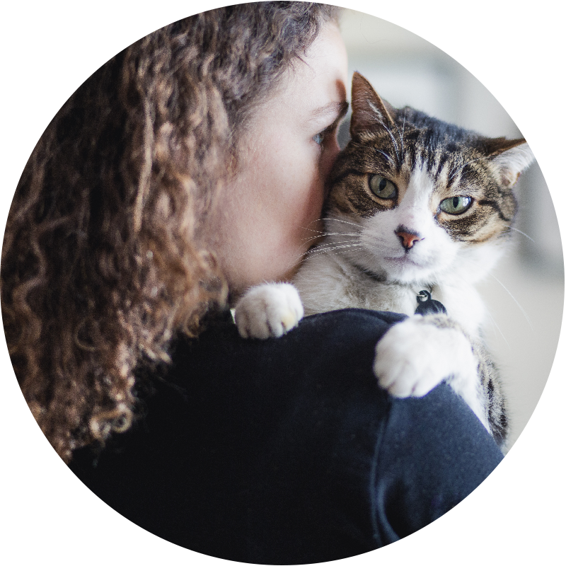 person holding a cat