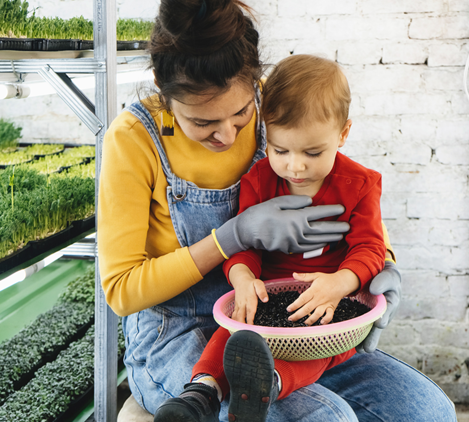 mom and daughter, family growing food, growing microgreens, family growing plants