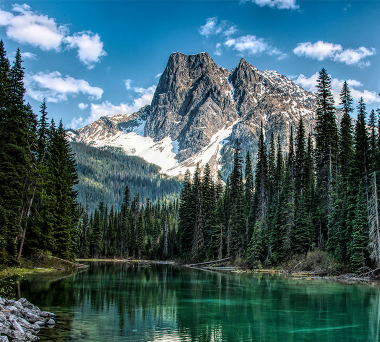 British Columbia mountain range in the background of a river flowing through a forest