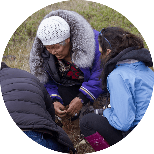 Indigenous elder teaching about medicinal plants