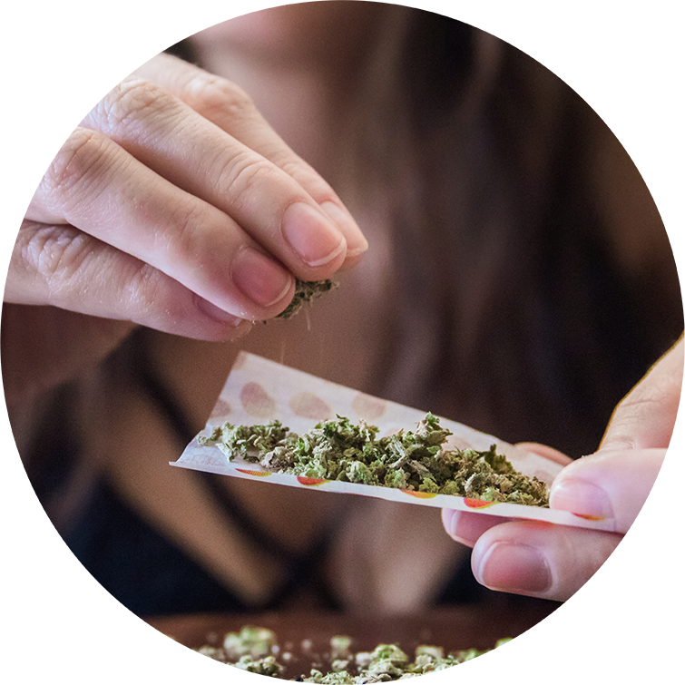 woman placing marijuana flower into a joint paper