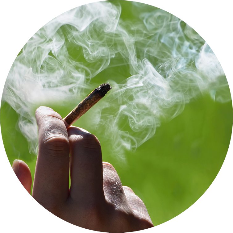 Marijuana joint in the hand