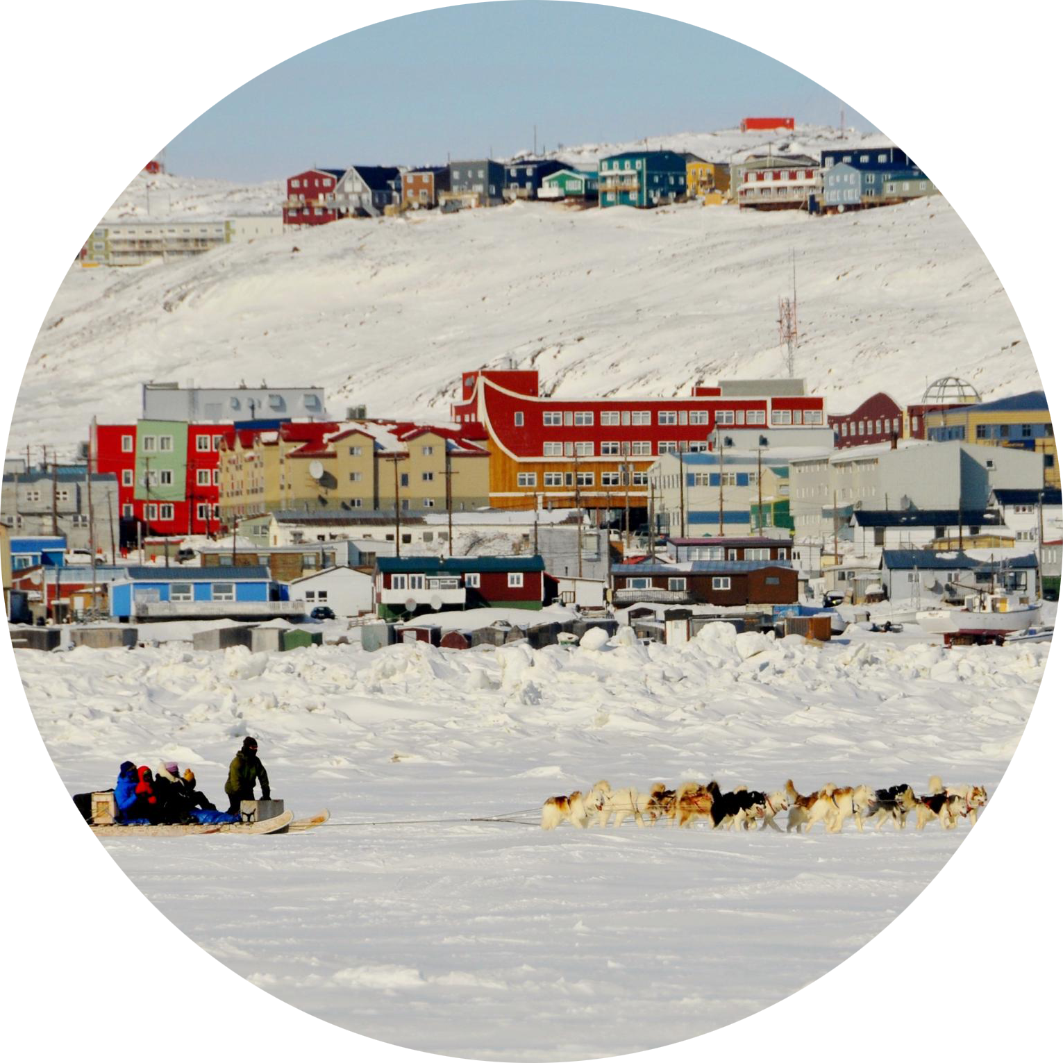 Dog sledding