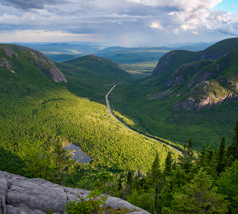 Looking up a glass office building