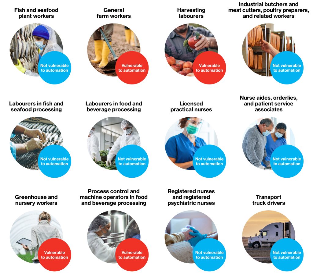 Image showing which jobs are vulnerable and not vulnerable to automation
