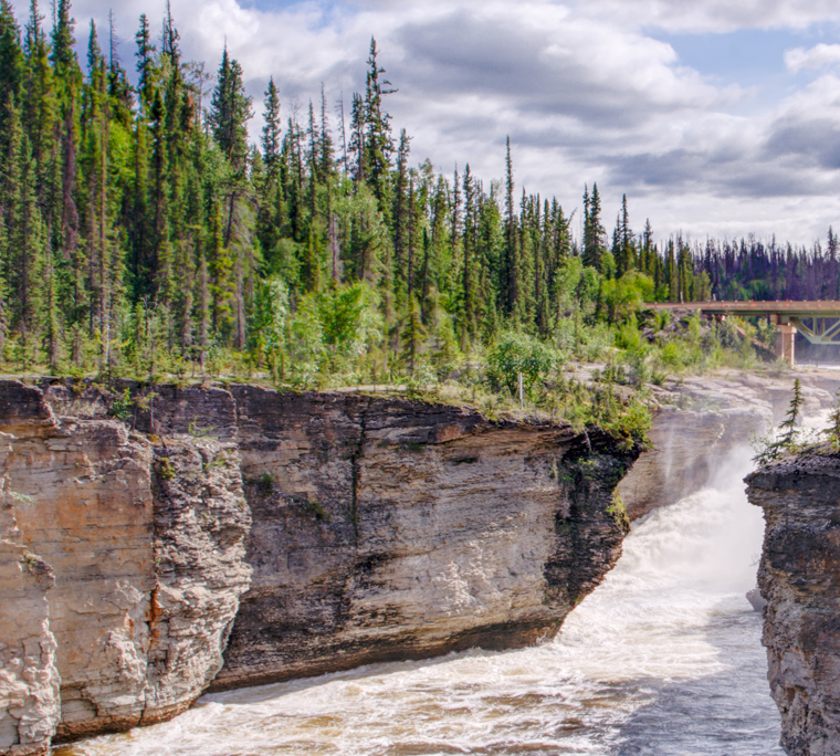 Tall trees surrounded by rocks, bridge, and running water